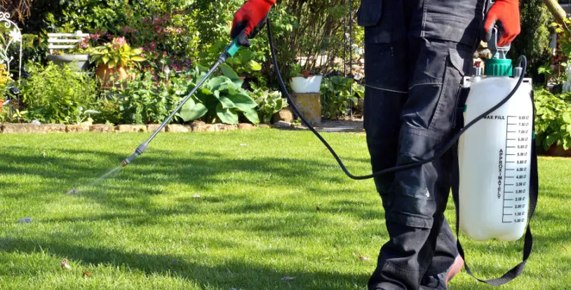 Weed Control and Prevention